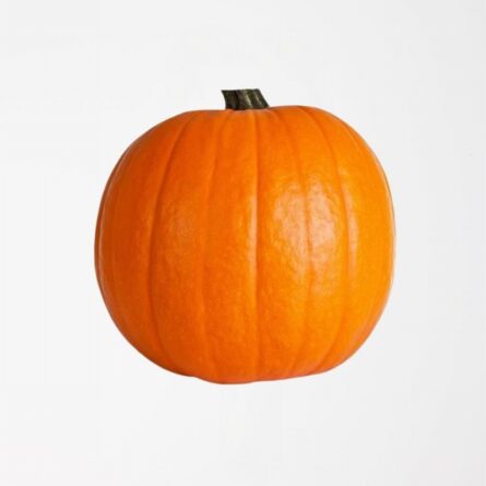 Halloween Pumpkin Medium