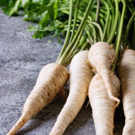 Fresh Parsnip from Panzer's