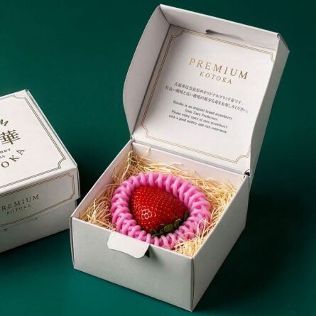 Kotoka Strawberries at Panzer's